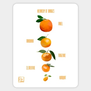 Hierarchy of Oranges Sticker